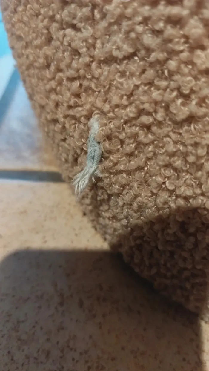 Fauteuil enfant Jollein - photo numéro 2