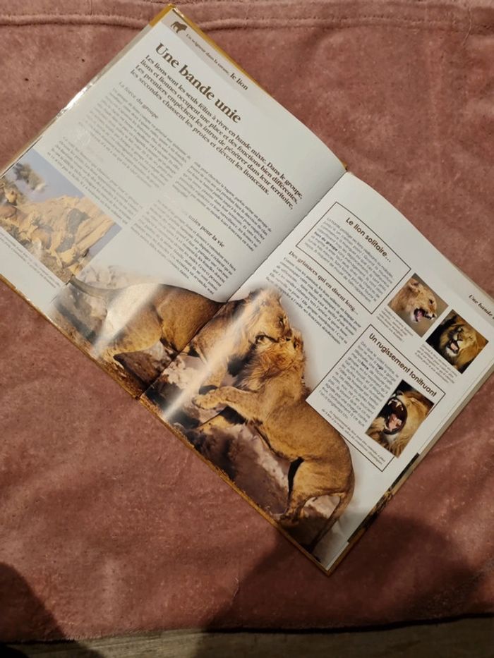 Livre découverte - photo numéro 3