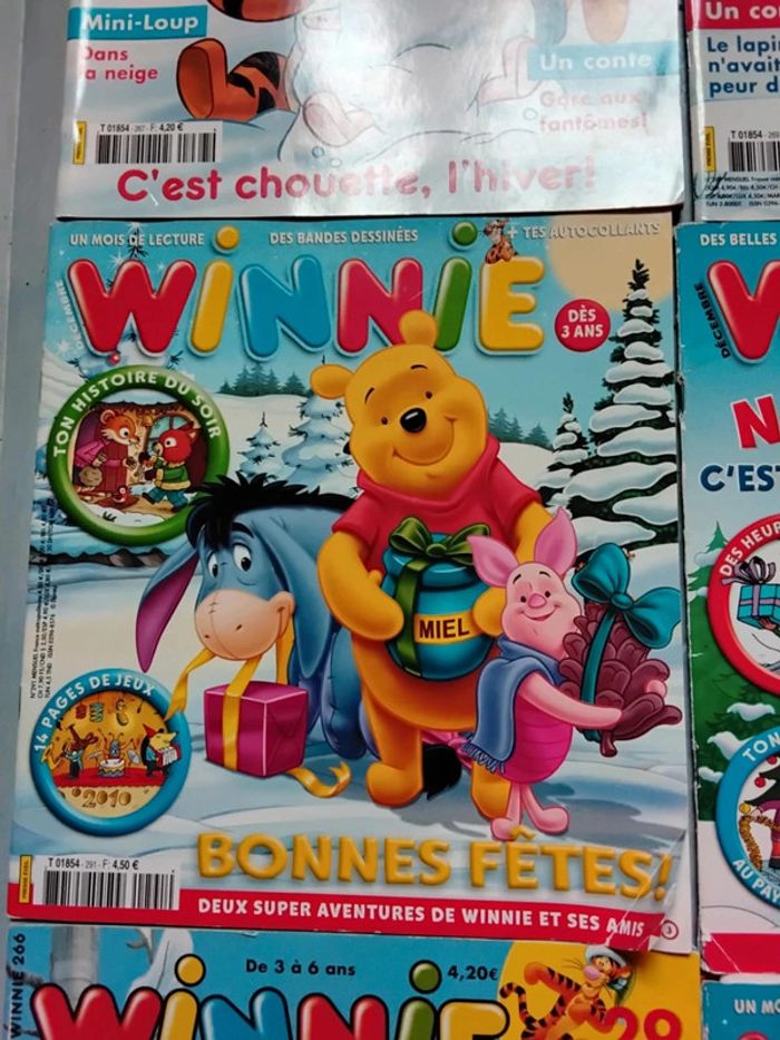 Lot Winnie - photo numéro 4