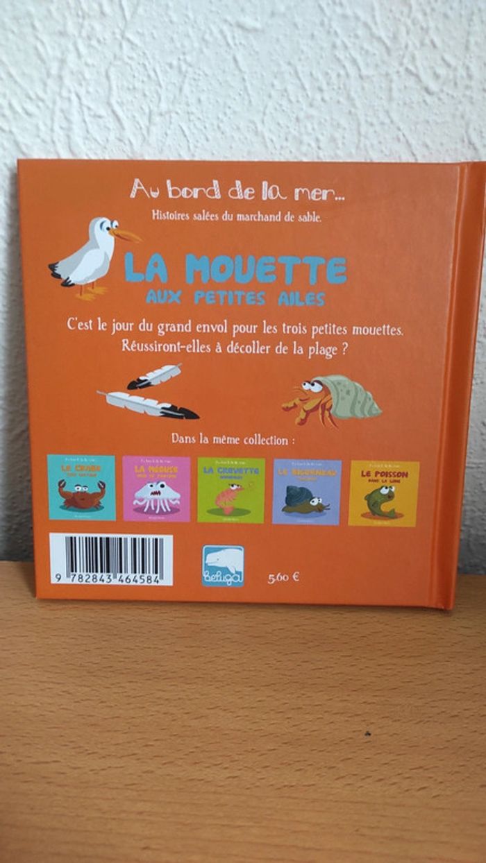 La mouette aux petites ailes - photo numéro 2