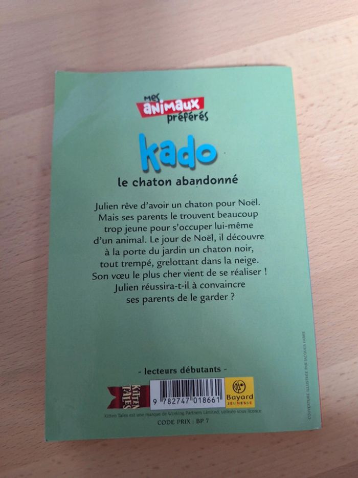 Kado la chaton abandonné - photo numéro 2