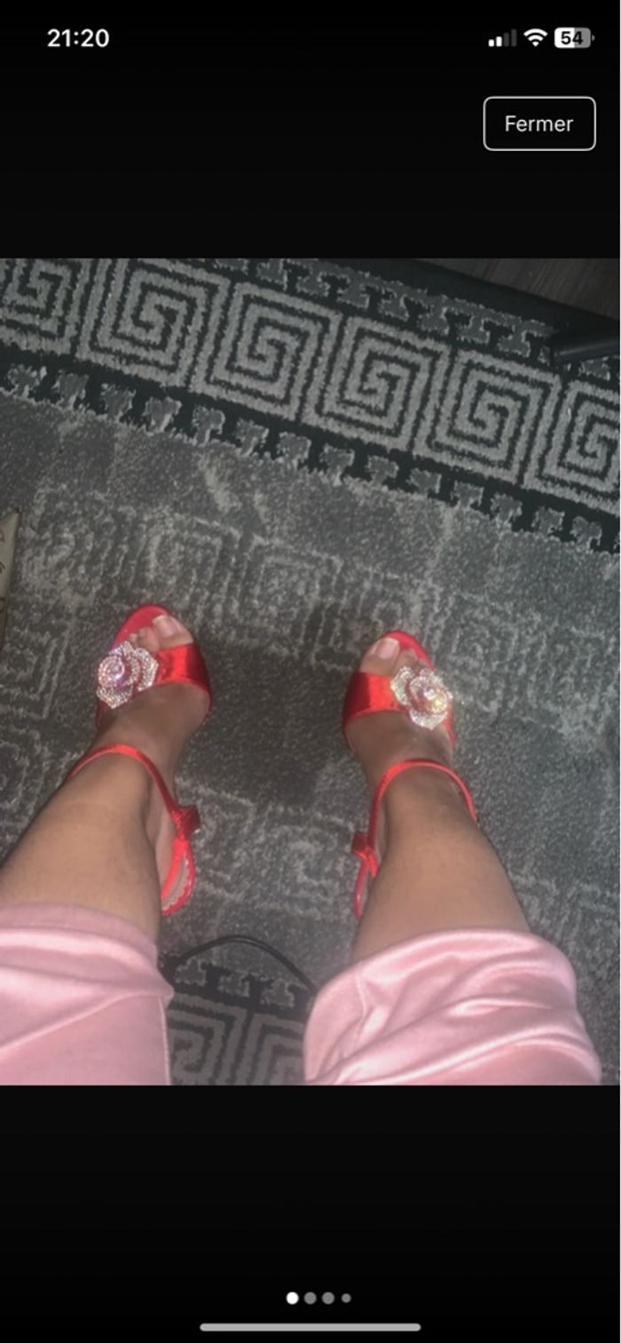 Talon rouge - photo numéro 2