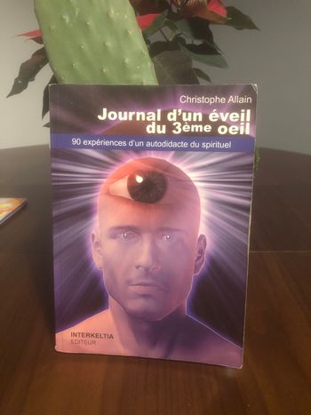Journal d’un éveil du troisième œil - 90 expériences d’un autodidacte du spirituel - Christophe Allain 