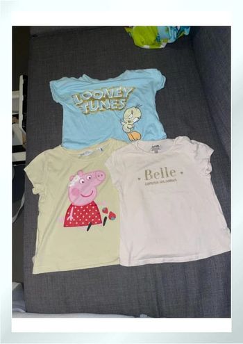 Lot trois t shirts manches courtes 18 mois