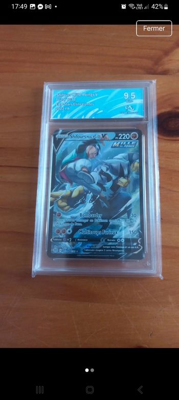 Shifours collectaura 9.5 