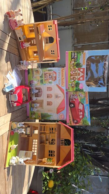 Lots sylvanian families 