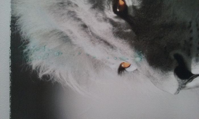 Toile lion sur cadre - photo numéro 6