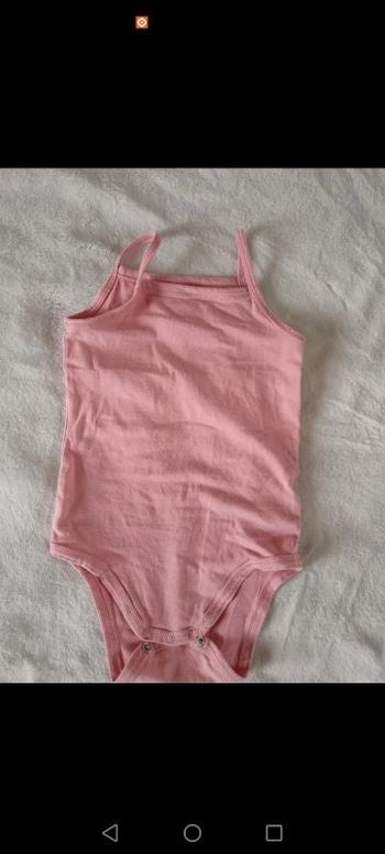 Body