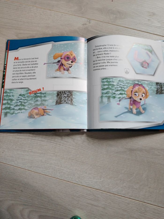 Livre Pat patrouille - photo numéro 3