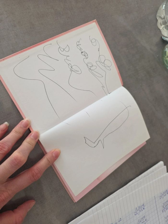 Les ballerines magiques n8 - photo numéro 4