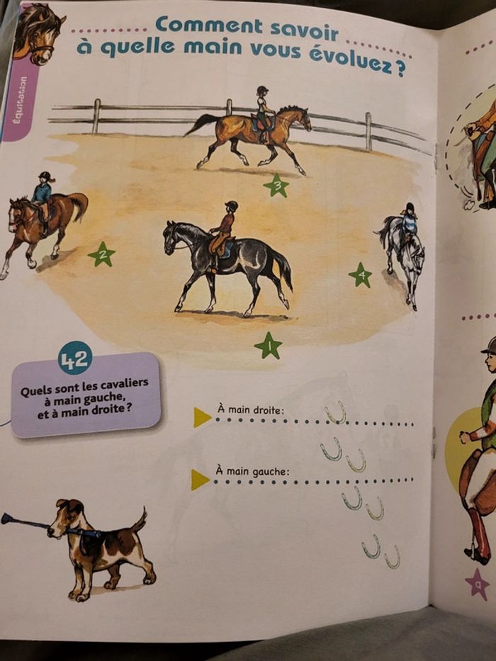 Cahier de Jeux Au Galop
Edition Belin
Galop 1 et 2 - photo numéro 3