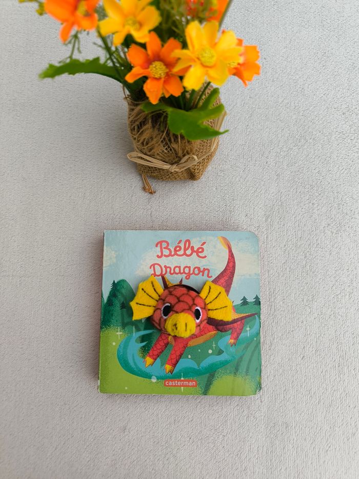Livre Bébé Dragon Casterman