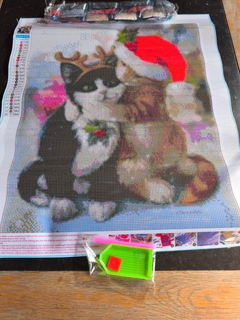 Diamond painting neuf 