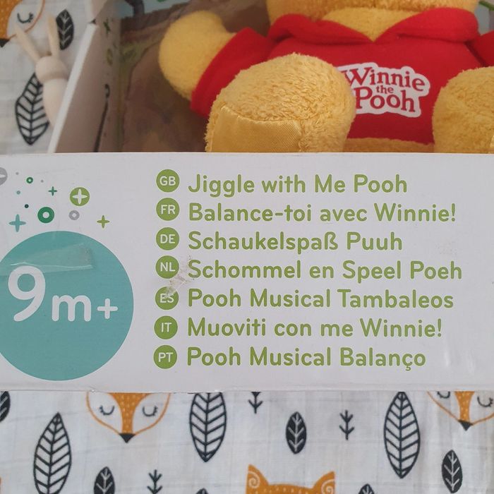 Winnie the Pooh de Tomy - photo numéro 2