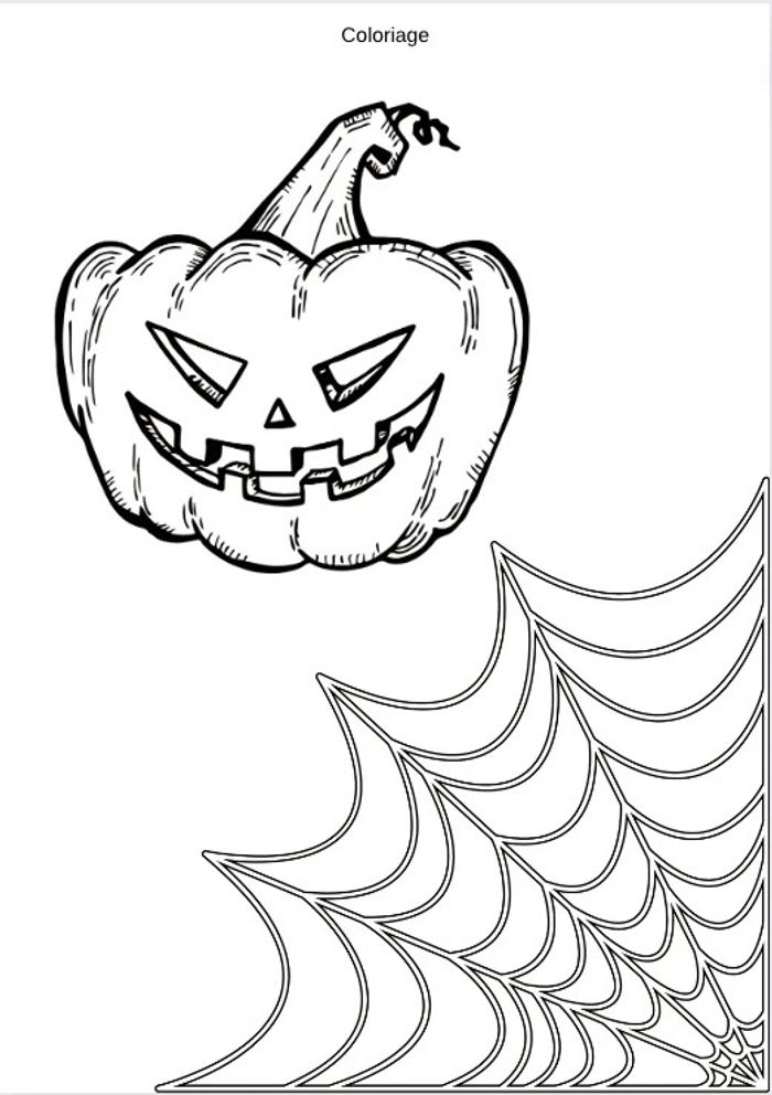 Feuilles activités - photo numéro 9