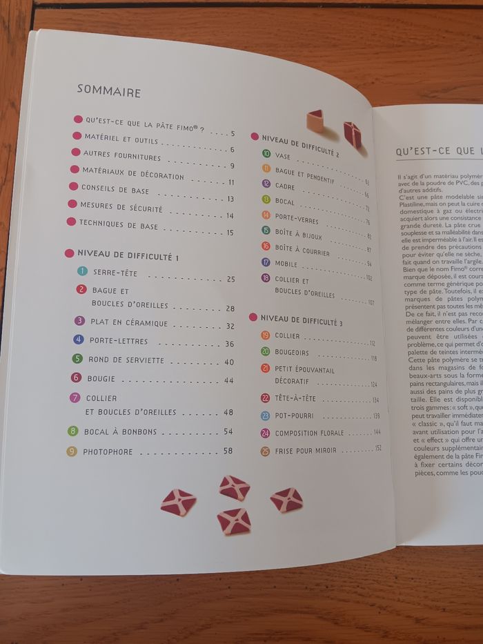 Livre pâte fimo - photo numéro 3