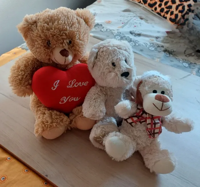 Ours en peluche