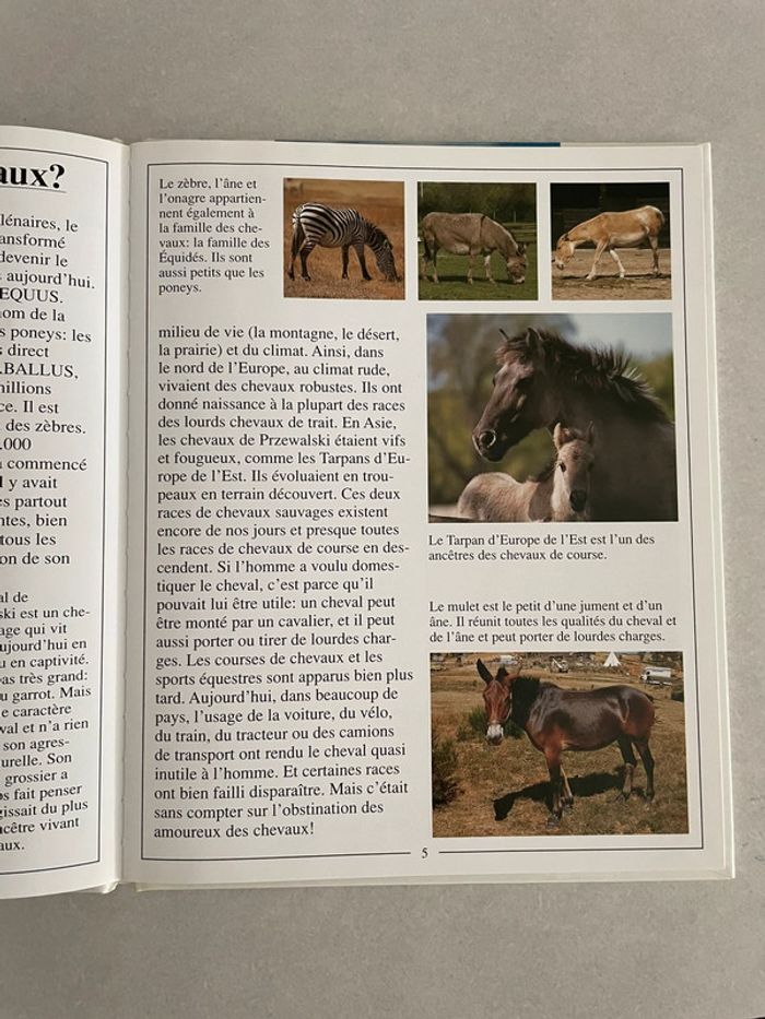 J'Aime Les Chevaux Et Les Poneys - photo numéro 3