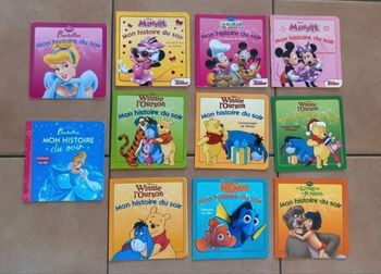 Lot de livres histoires du soir