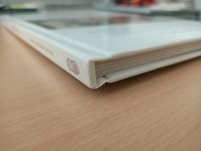 BD au fil de l'art volume 1 (Ivana & Gradimir smudja / éditions Delcourt) - photo numéro 5