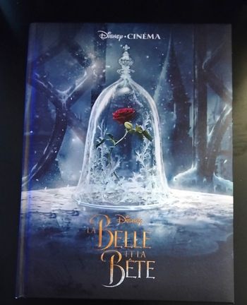 Livre Disney la belle et la bete