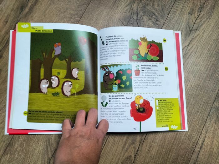 Mon premier Larousse des pourquoi ? - photo numéro 5