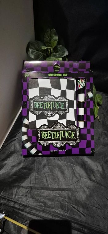Cahier er stylo beetlejuice