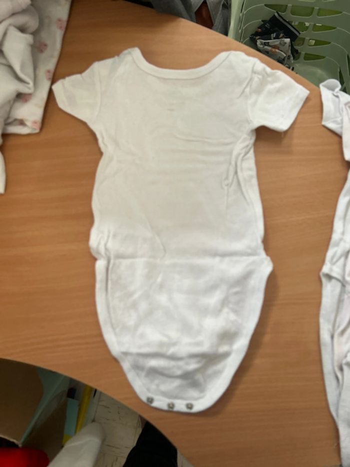 Lot 7 body manche courtes - photo numéro 8