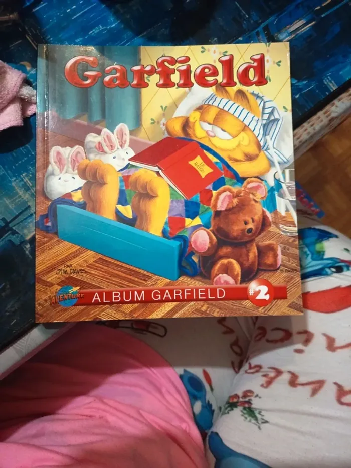 Garfield 2 - photo numéro 1