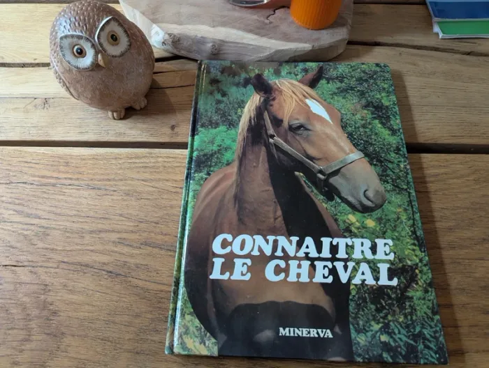 Connaître le cheval 🐴🐎