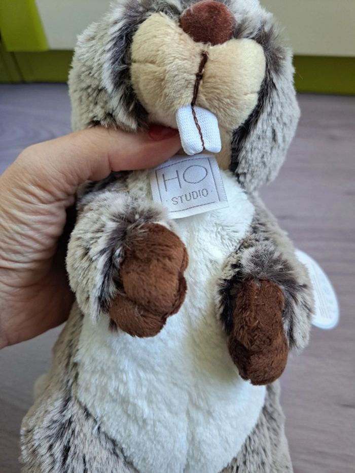 Peluche marmotte histoire d'ours - photo numéro 3