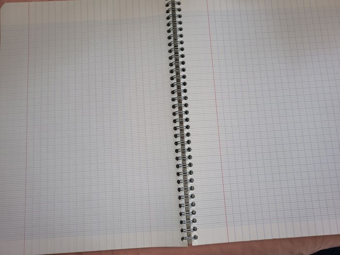 Grand cahier grand carreaux CONQUERANT 180 PAGES - photo numéro 3