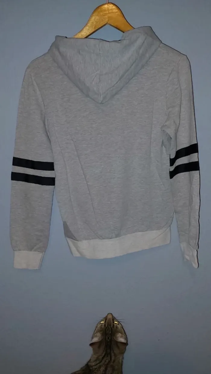 Sweatshirt à capuche - photo numéro 2
