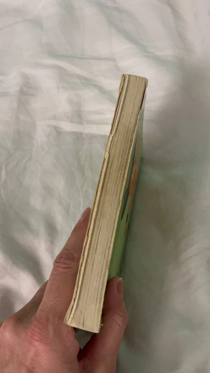 Livre Dragonball édition pastel 11 - photo numéro 3