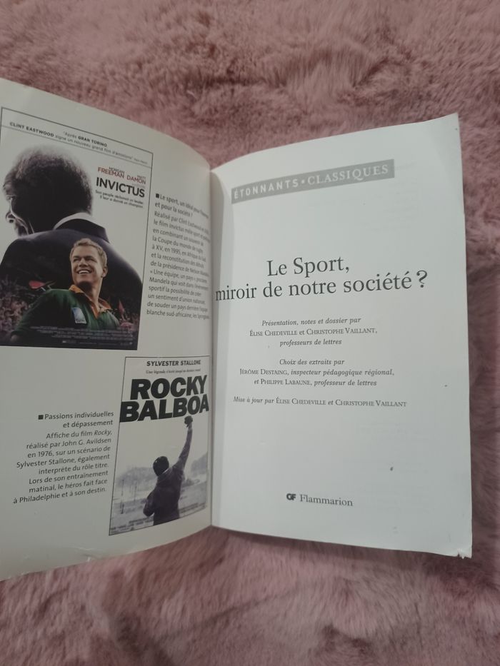 Livre: le sport, miroir de notre société - photo numéro 4