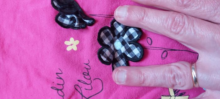 Tshirt manche longue Le jardin de Lilou 12 mois - photo numéro 5