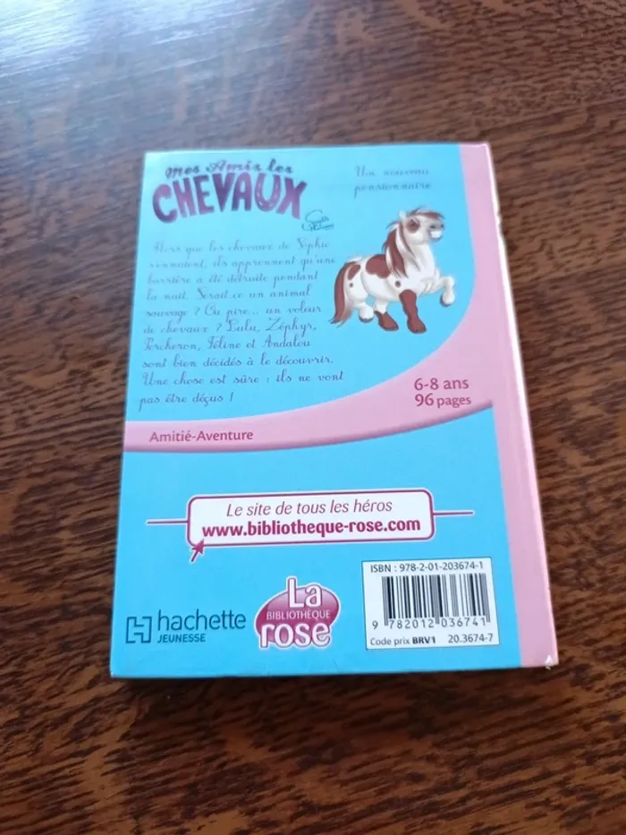 Mes amis les chevaux 1 - photo numéro 2