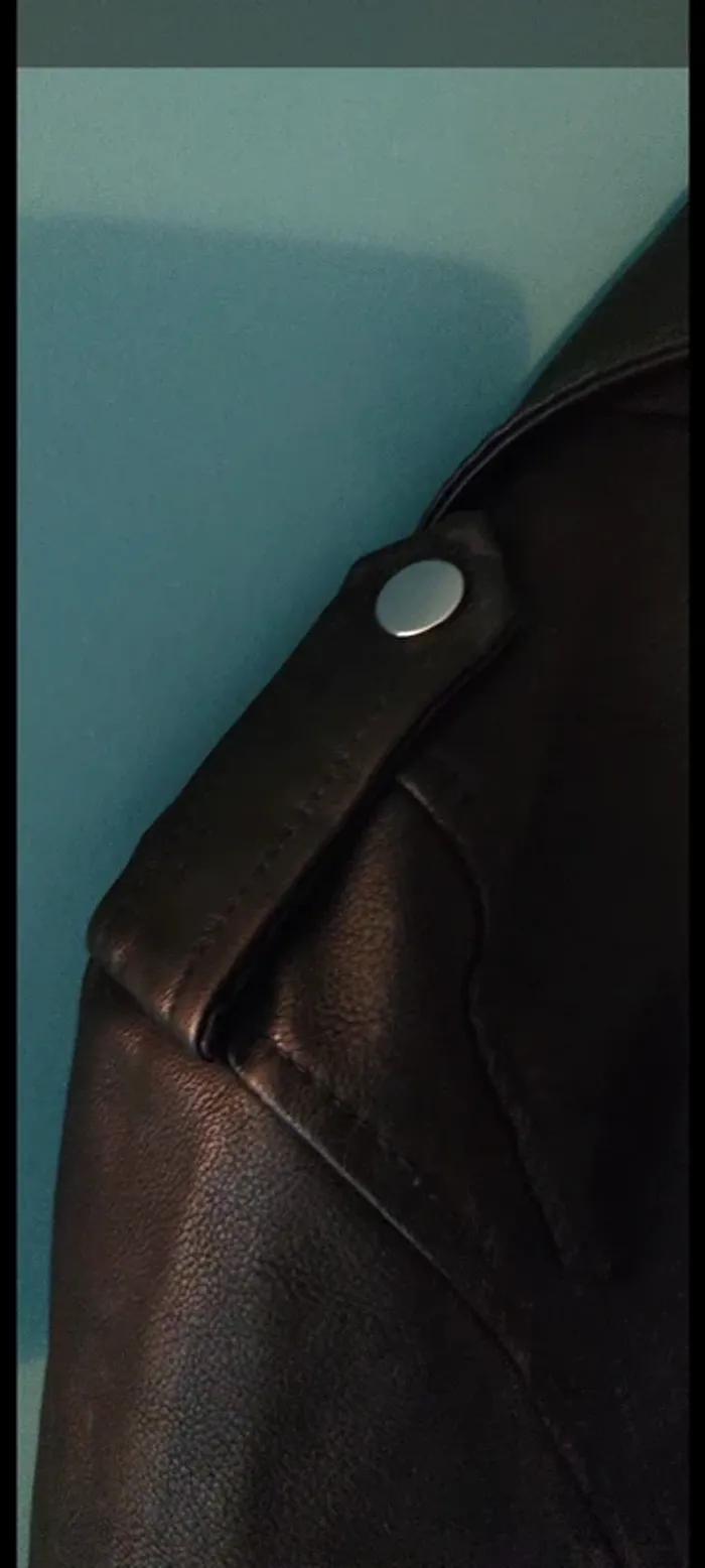 Perfecto noir - photo numéro 7