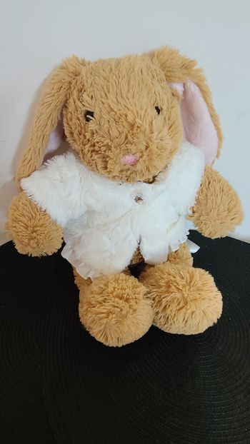 Peluche lapin BUILD A BEAR marron et blanc