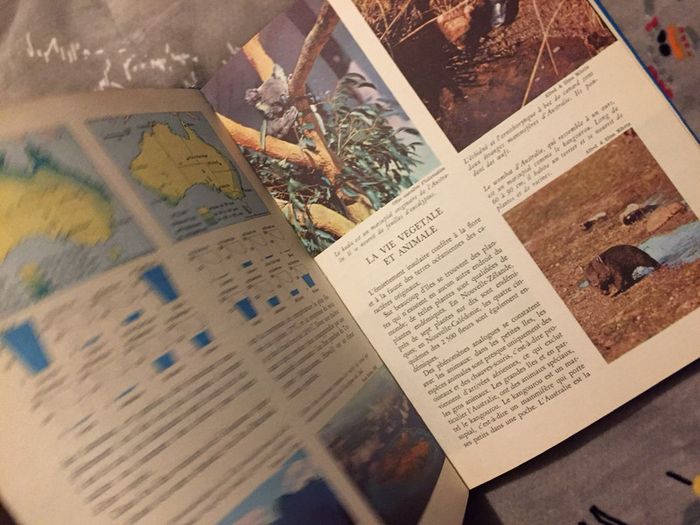 Les encyclopédies du livre d’or Océanie et régions polaires Atlas illustré Tome 8 - photo numéro 9