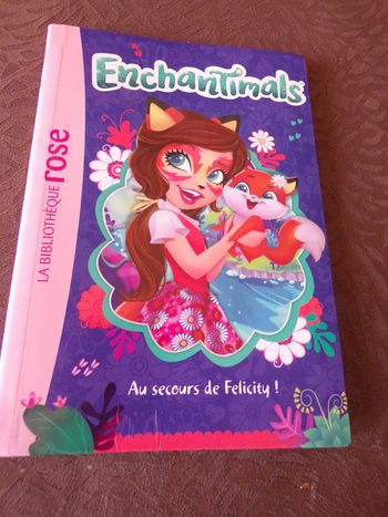 Livre Enchantimals La bibliotéqque rose