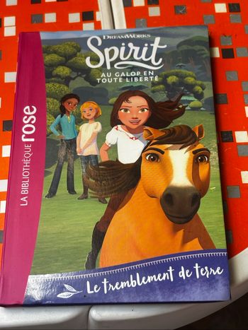 Lots Livres Spirit