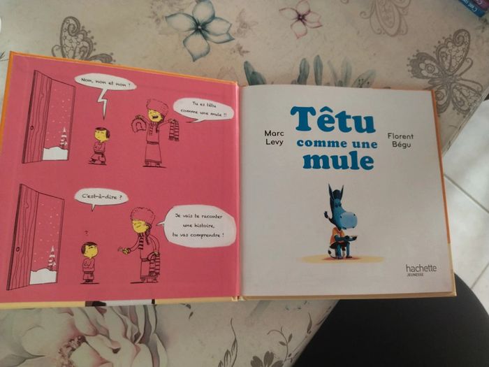 Têtu comme une mule - photo numéro 3