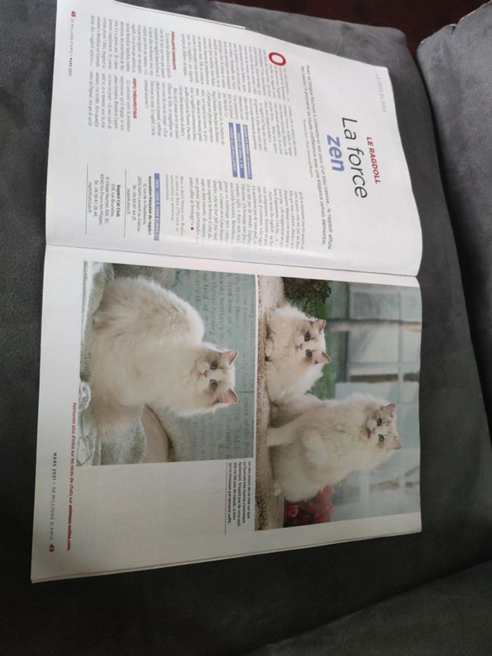 Magazine 30 millions d'amis numéro 393 mars 2021 - photo numéro 9