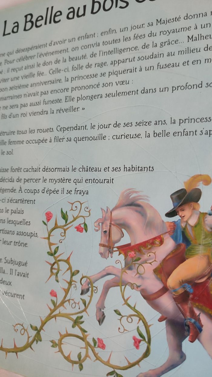 Livre à pochoirs princesses Éditions Babiroussa - photo numéro 5
