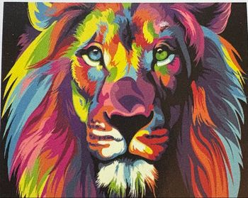 Diamond painting lion 30*40cm neuf