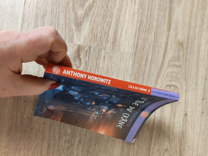 L'île du crâne, livre d'Anthony Horowitz - photo numéro 7
