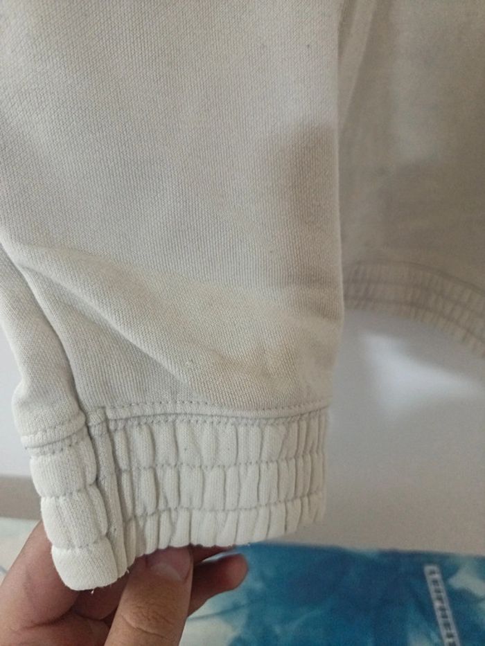 Pull champion - photo numéro 4