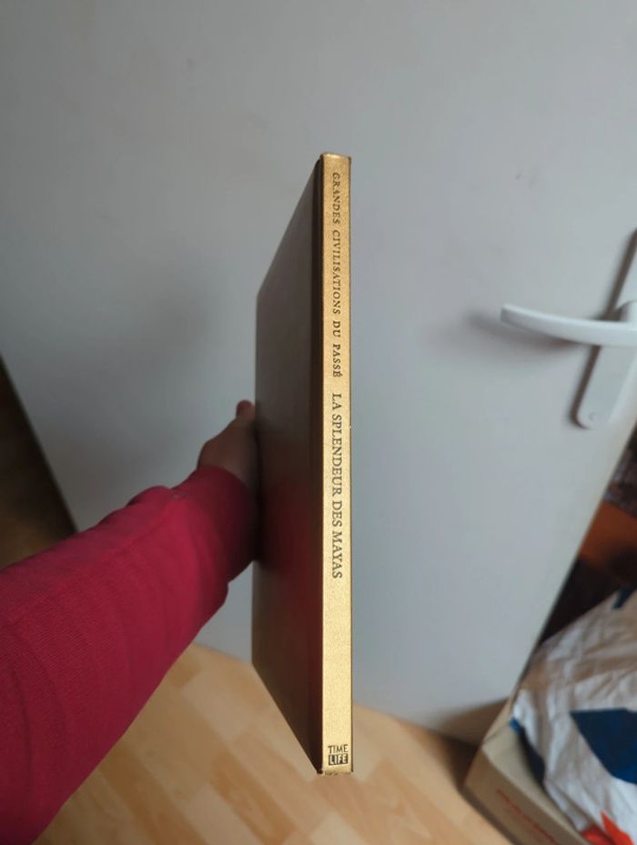 La splendeur des Mayas - photo numéro 5