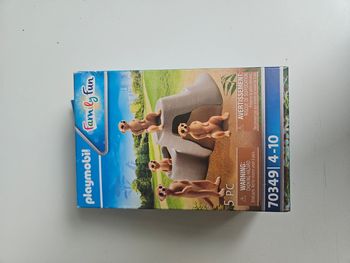 Playmobil family fun